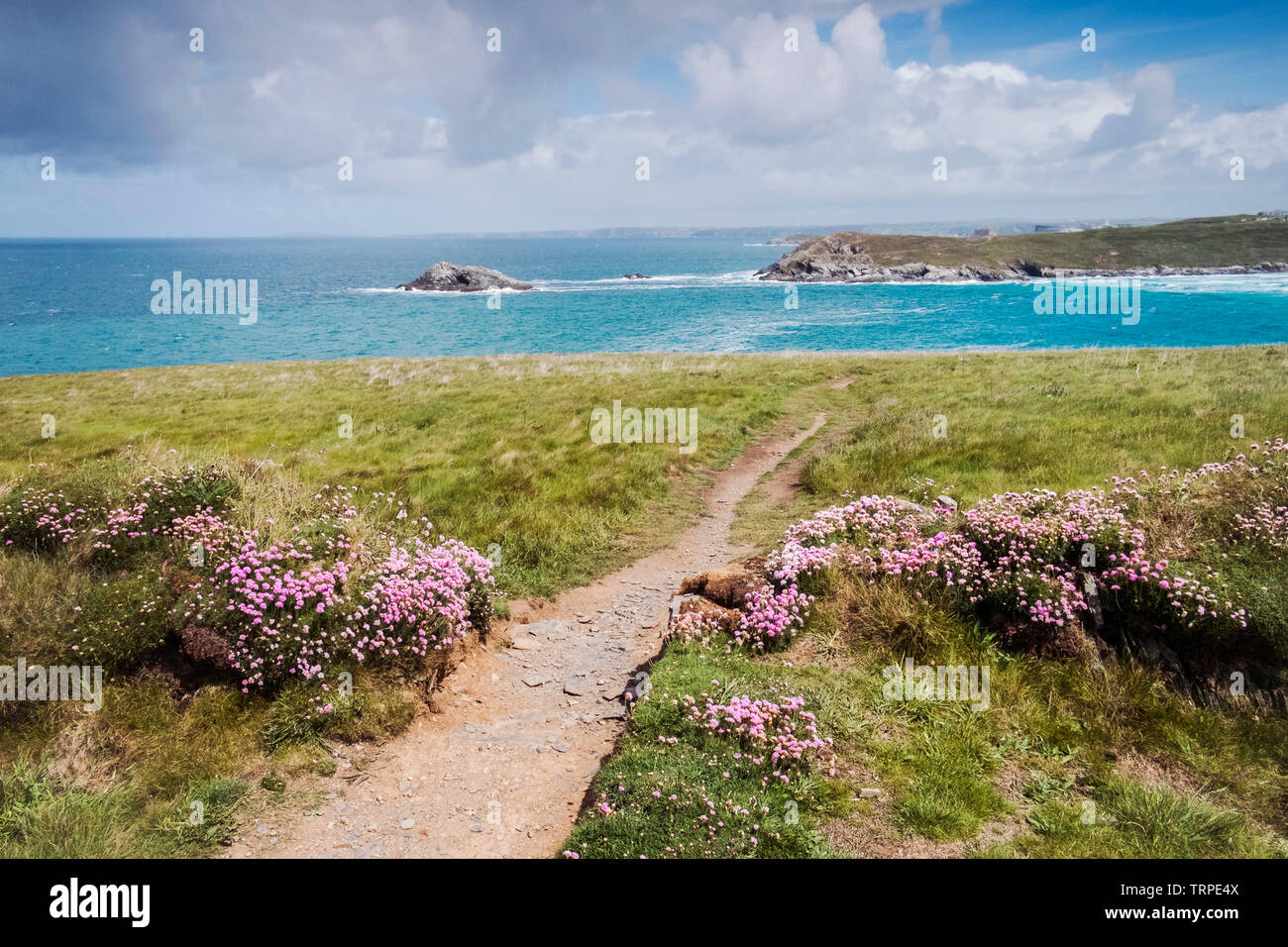 The wild rugged coast of Pentire Point East seen from Pentire Point West in Newquay in Cornwall. Stock Photo