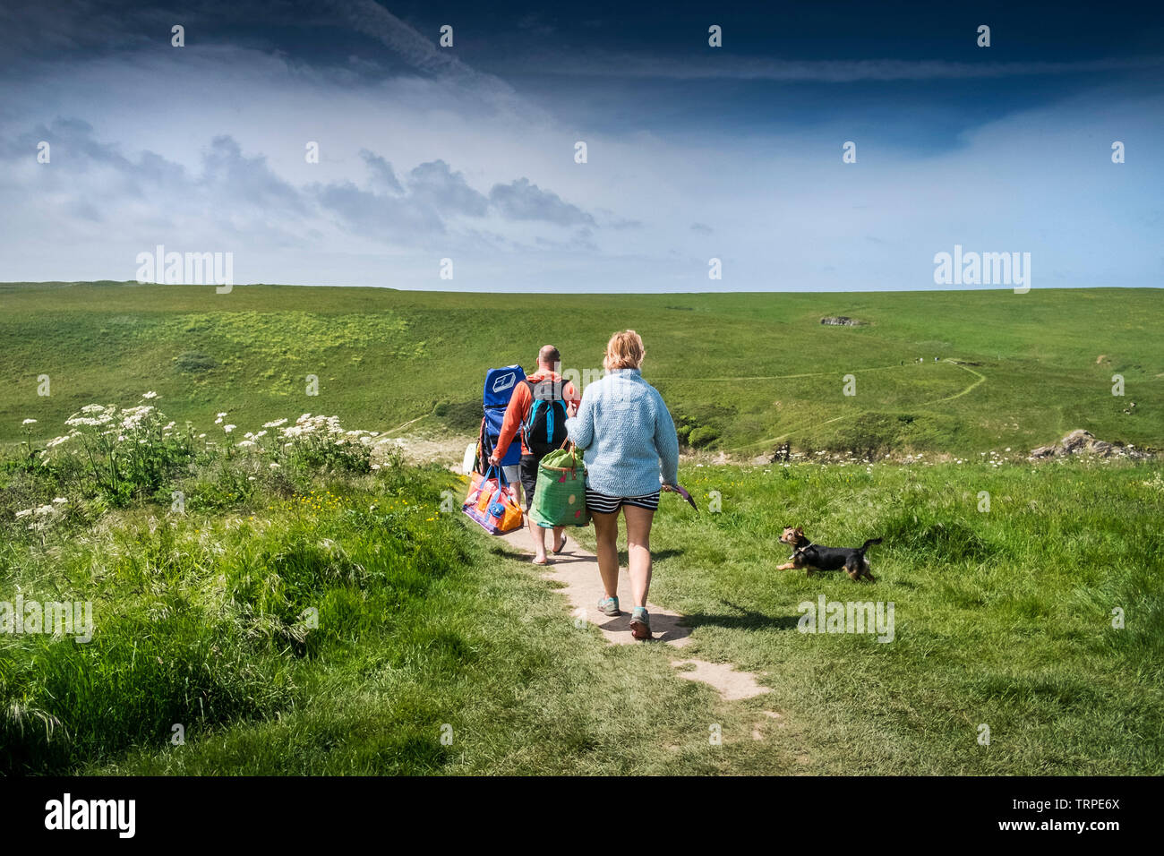 A family of holidaymakers and their dog on a staycation holiday walking along a footpath leading down to Polly Porth Joke in Newquay in Cornwall. Stock Photo