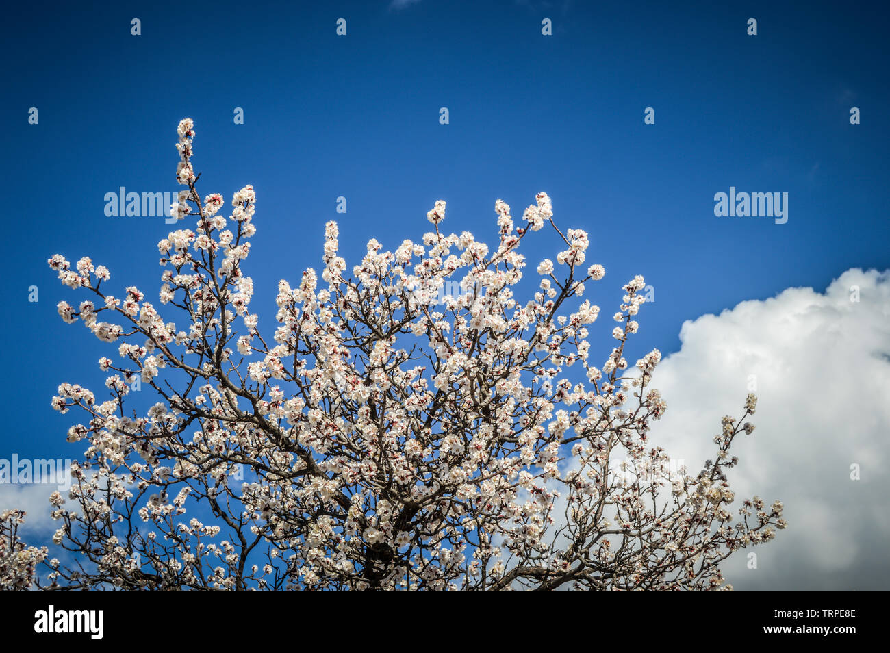 Twin fairy chimneys hi-res stock photography and images - Alamy