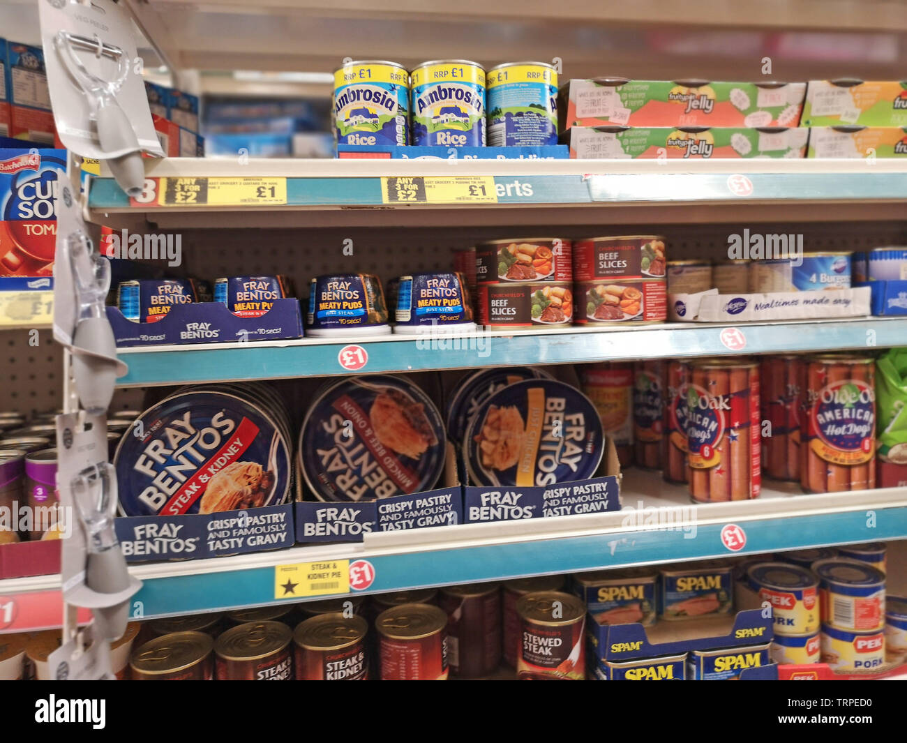 Poundland litter cheap tray
