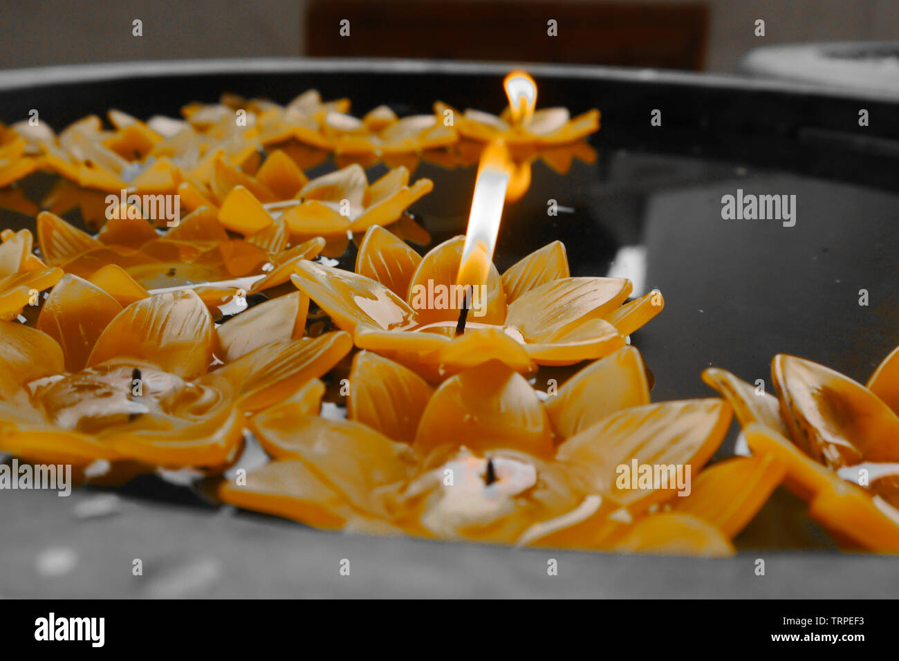 Yellow lotus flower candle in the basin Stock Photo Alamy