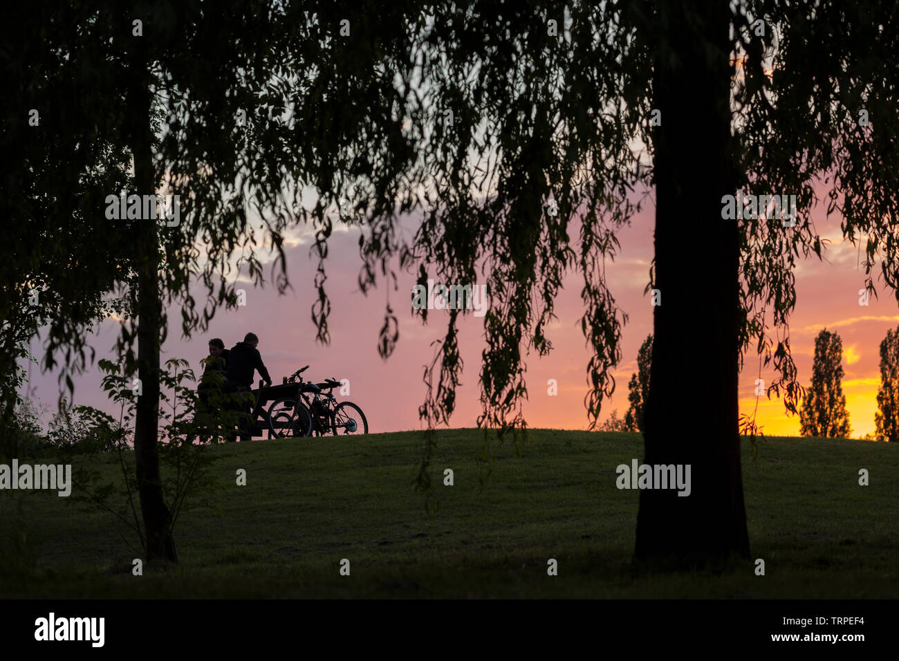 Evening UK landscape at sunset. Two cyclists in silhouette chatting by picnic bench under a silhouetted weeping willow tree outdoors in country park. Stock Photo