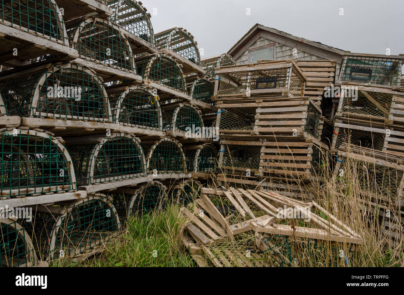 Pei wooden lobster traps stacked up and broken traps Stock Photo Alamy