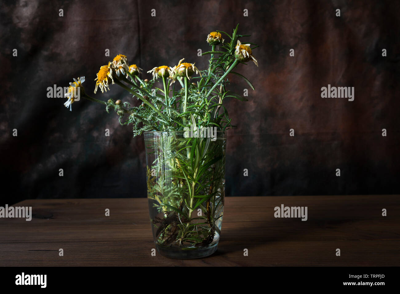 Concept of death. Still life with withered flowers in a glass with water on wooden table with dark background. Stock Photo