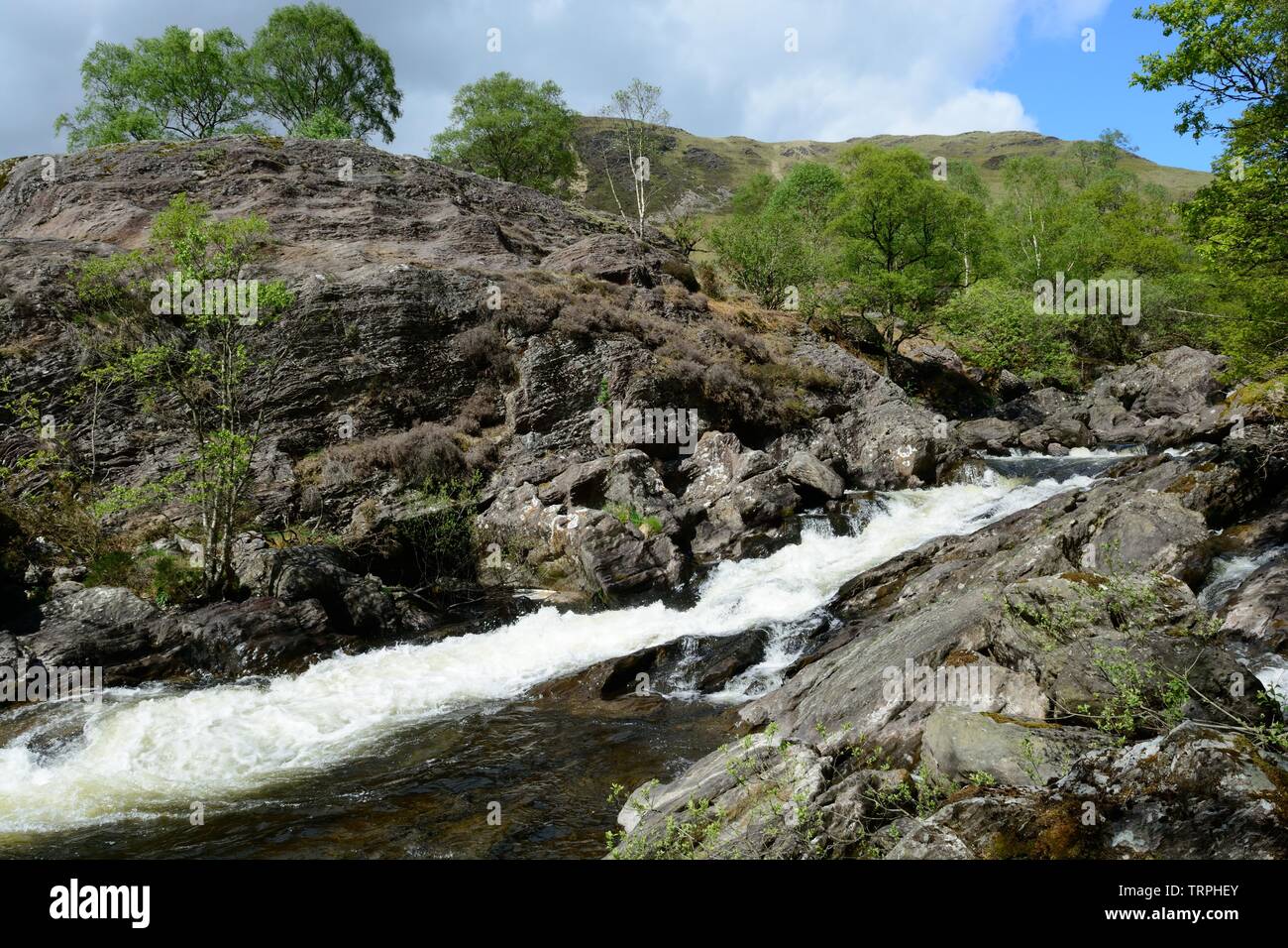 River Towy flowing through rocks rocky valley and trees in spring Gwenffryd Dinas Nature Reserve Upper Towy Valley Rhandirmwyn Carmarthenshire Wales Stock Photo