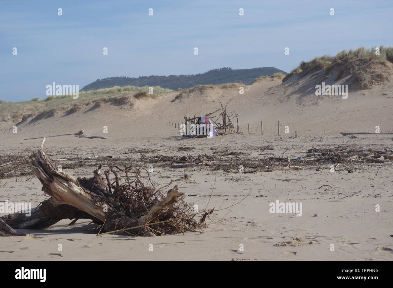 Atlantic Coast, Spain,  dunas de liencres Stock Photo