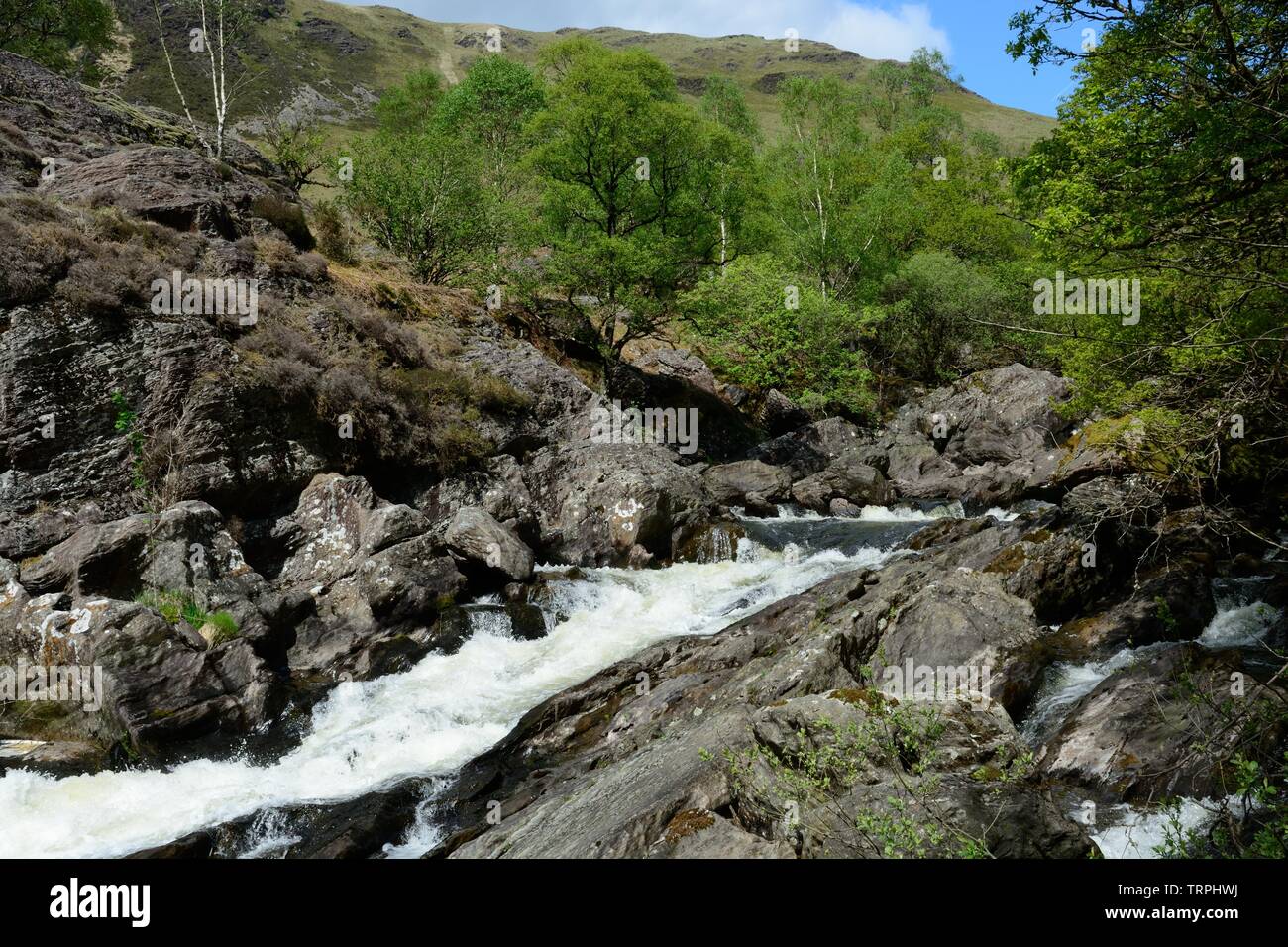 River Towy flowing through rocks rocky valley and trees in spring Gwenffryd Dinas Nature Reserve Upper Towy Valley Rhandirmwyn Carmarthenshire Wales Stock Photo
