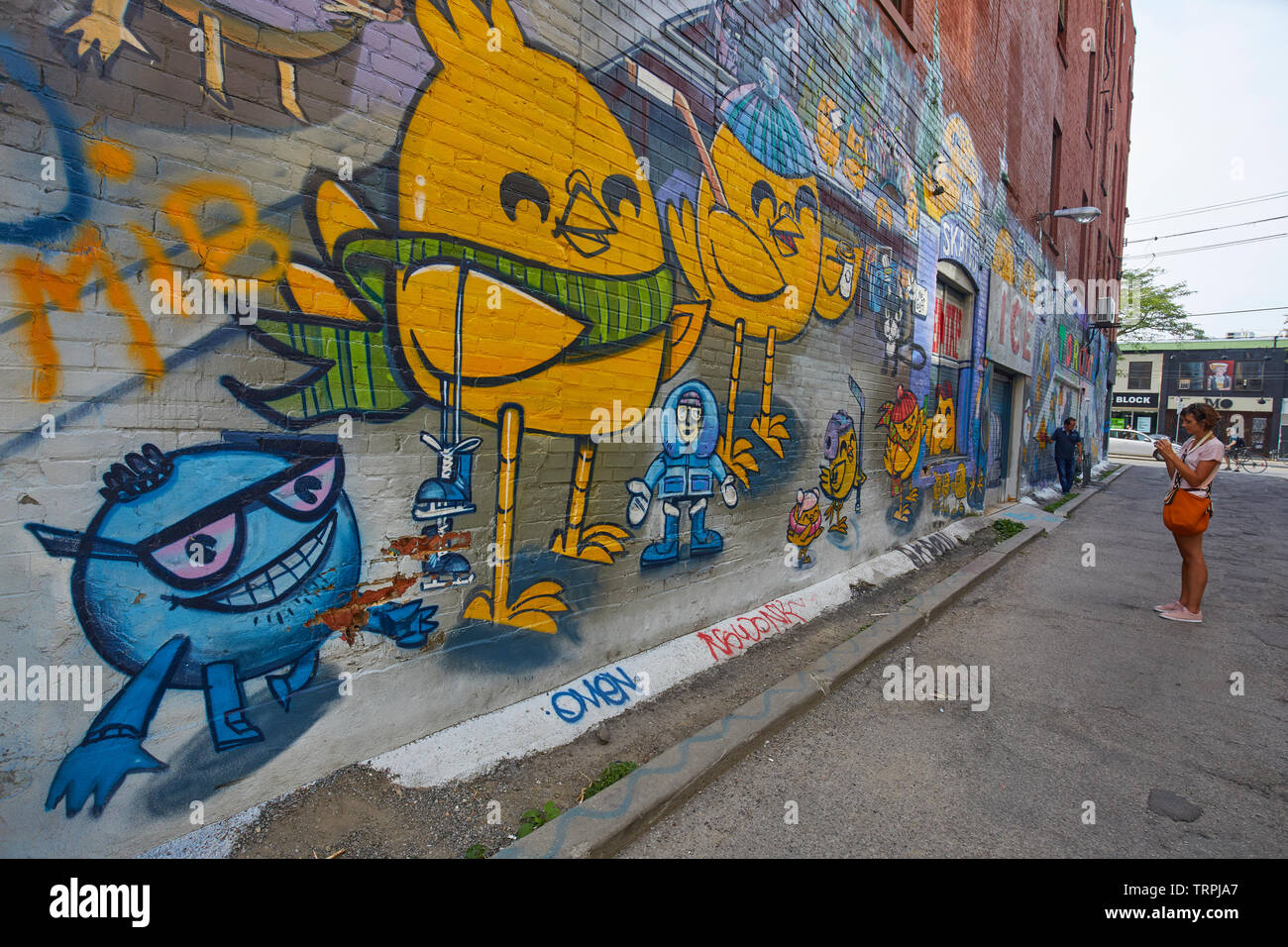Graffiti alley in Toronto, Canada Stock Photo Alamy