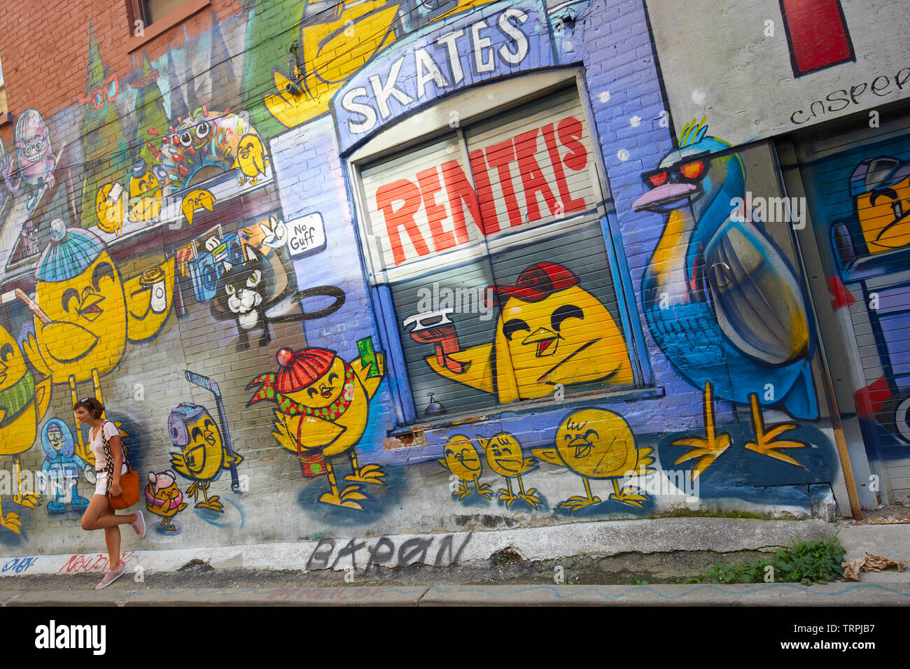 Graffiti alley in Toronto, Canada Stock Photo Alamy