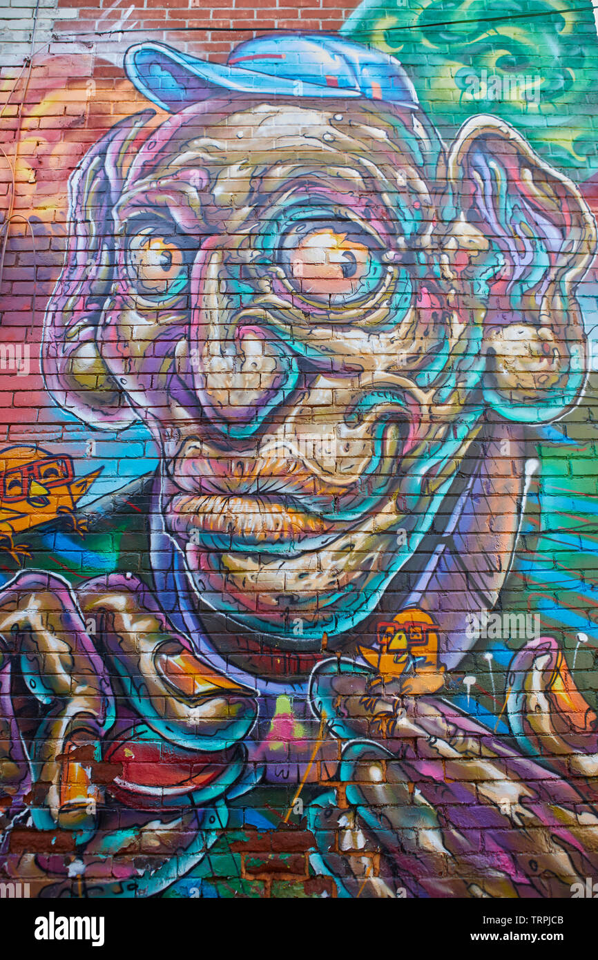 Graffiti alley in Toronto, Canada Stock Photo Alamy