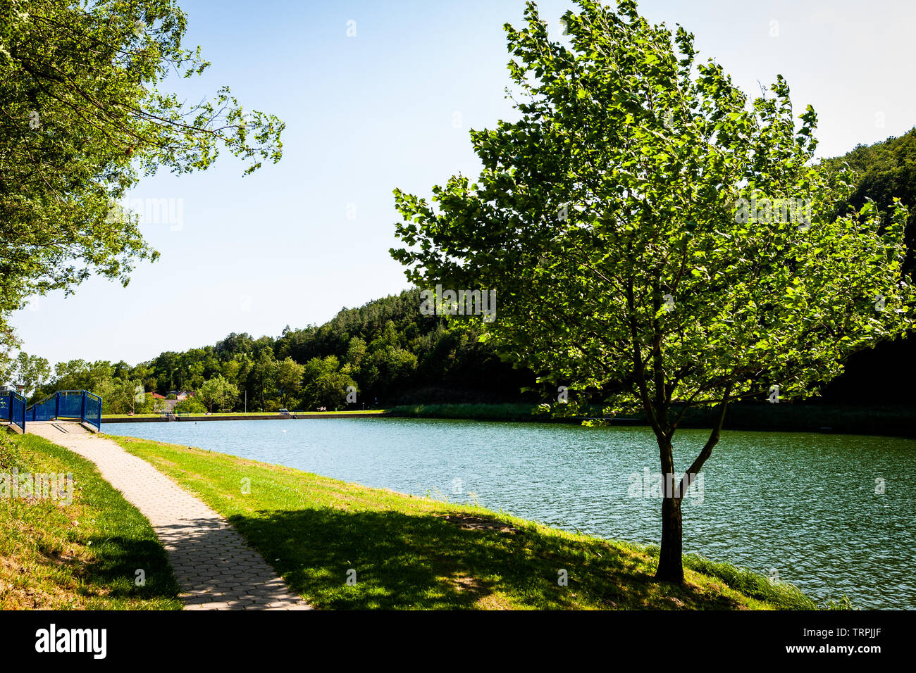 Sunny scene with trees in Badestausee Rechnitz on a summer day with bright water Stock Photo
