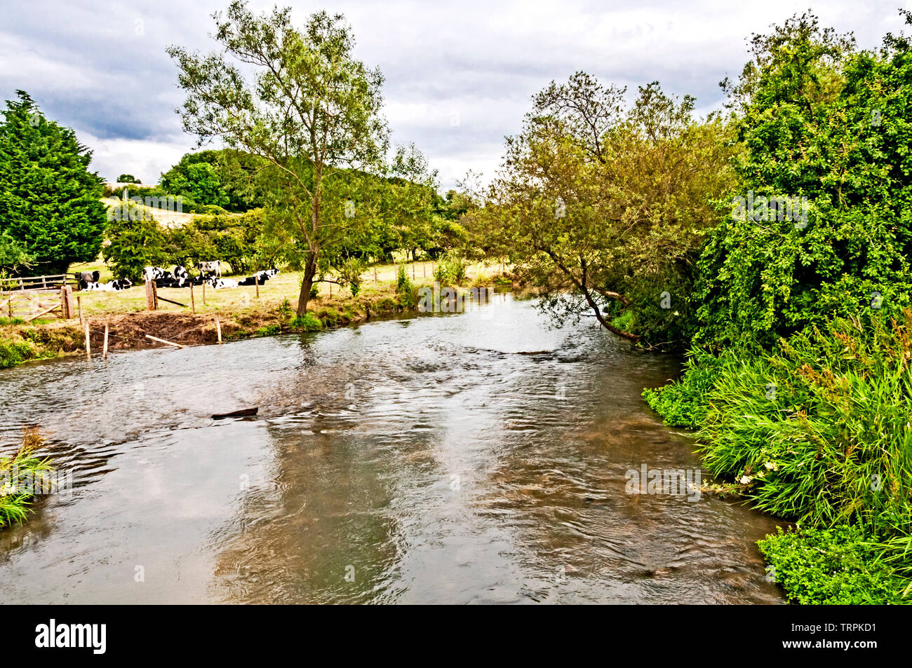 Pastoral scene at the river windrush  at Swinbrook (Oxfordshire), idyllische Szene am Flusse Windrush nahe Swinbrook Stock Photo