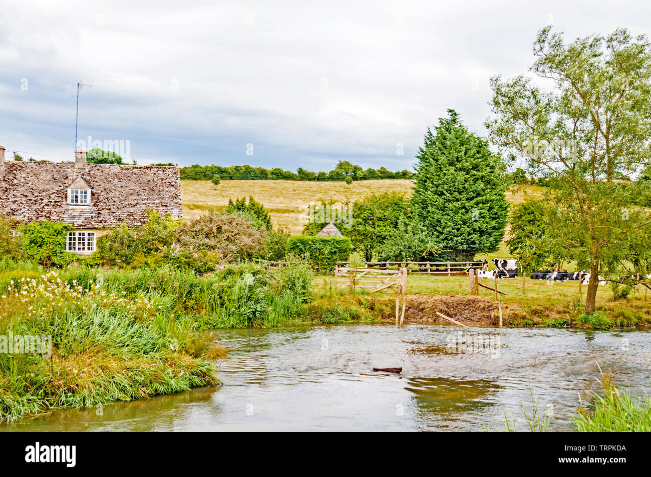 Pastoral scene at the river windrush  at Swinbrook (Oxfordshire), idyllische Szene am Flusse Windrush nahe Swinbrook Stock Photo