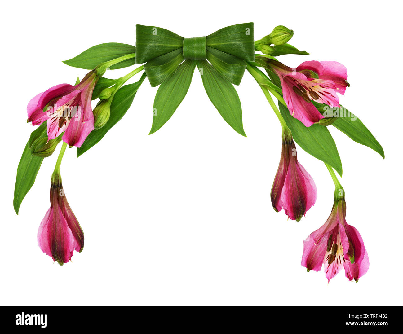 Floral arch Cut Out Stock Images & Pictures Alamy