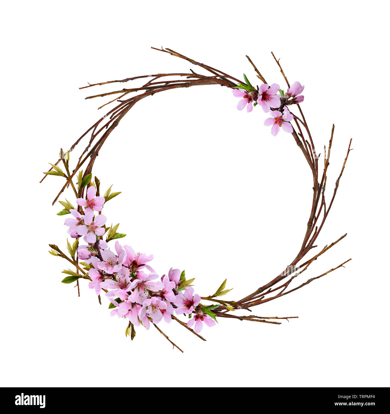 Round wreath from dry twigs with spring branches of peach flowers and ...