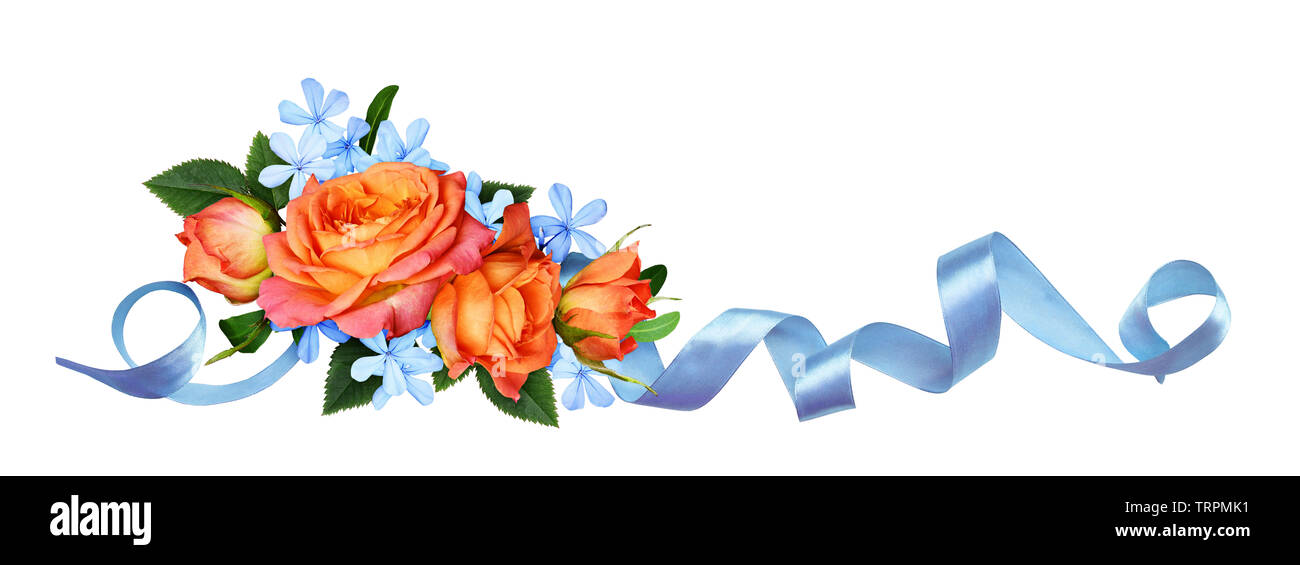 Orange roses and blue small flowers with silk ribbon in a floral arrangement isolated on white background. Flat lay, top view. Stock Photo