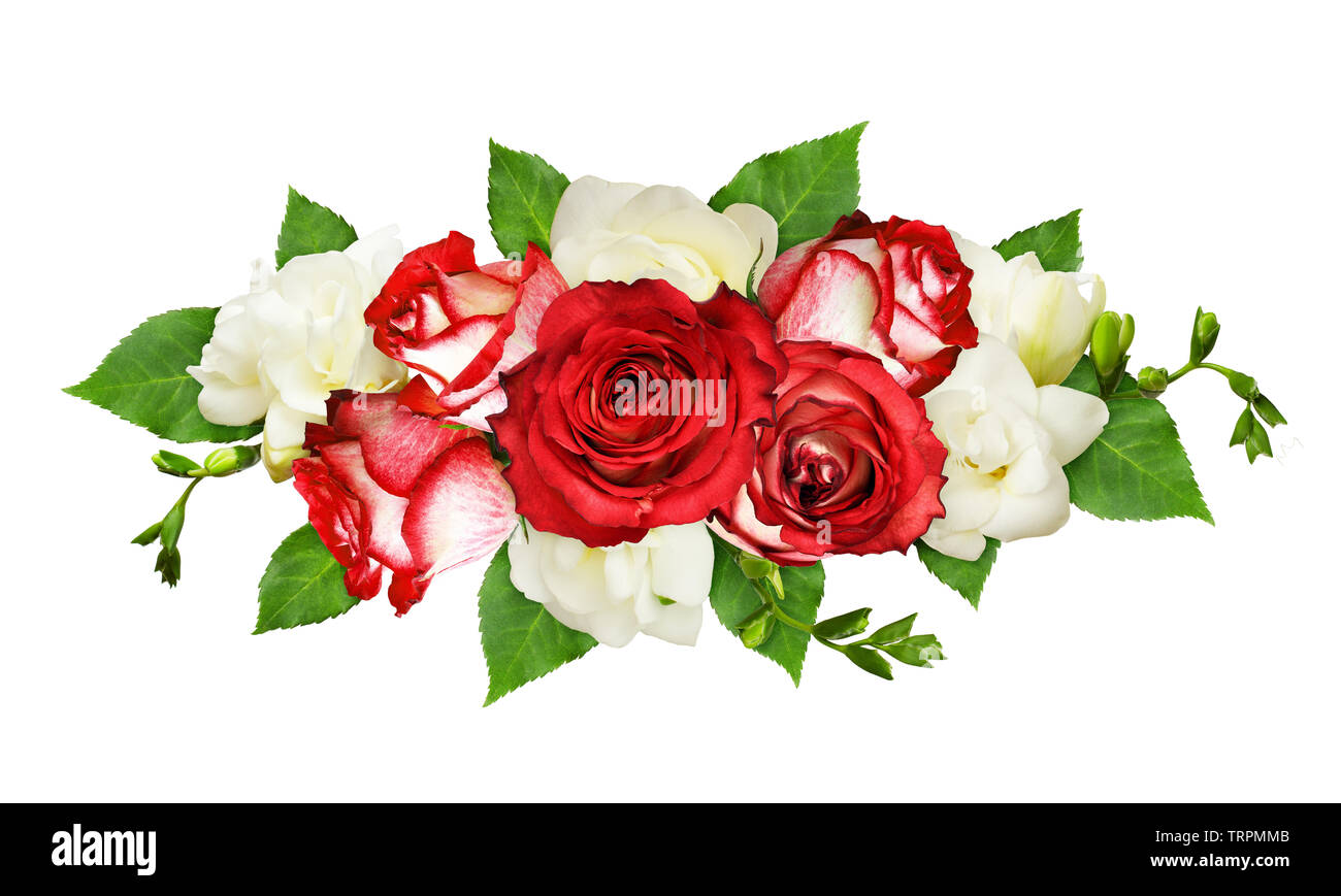 Red and white roses and freesia flowers and leaves in a floral