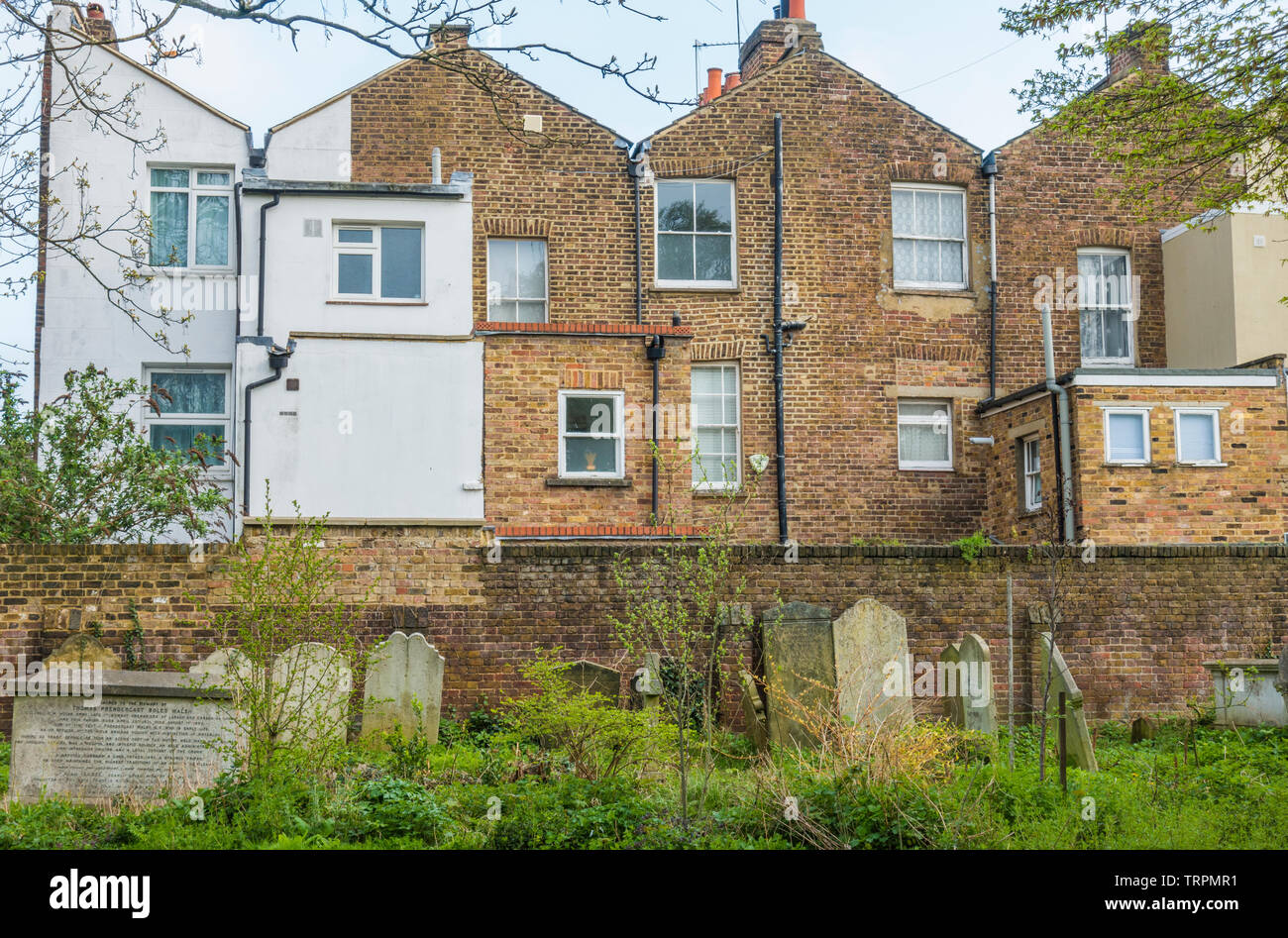 The rear of period houses overlooking an overgrown St Mary’s Church