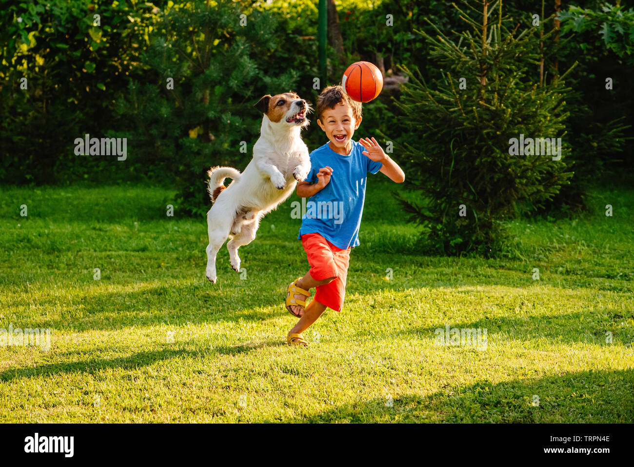 Family having fun outdoor with dog and basketball ball Stock Photo