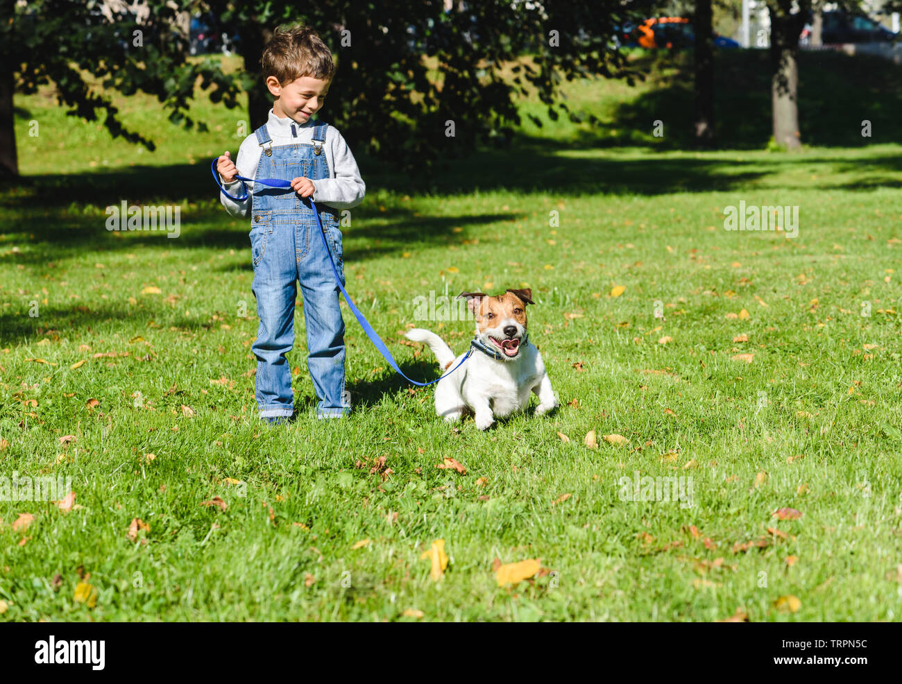 Cute boy looking at his playful dog trying to run away on leash Stock Photo