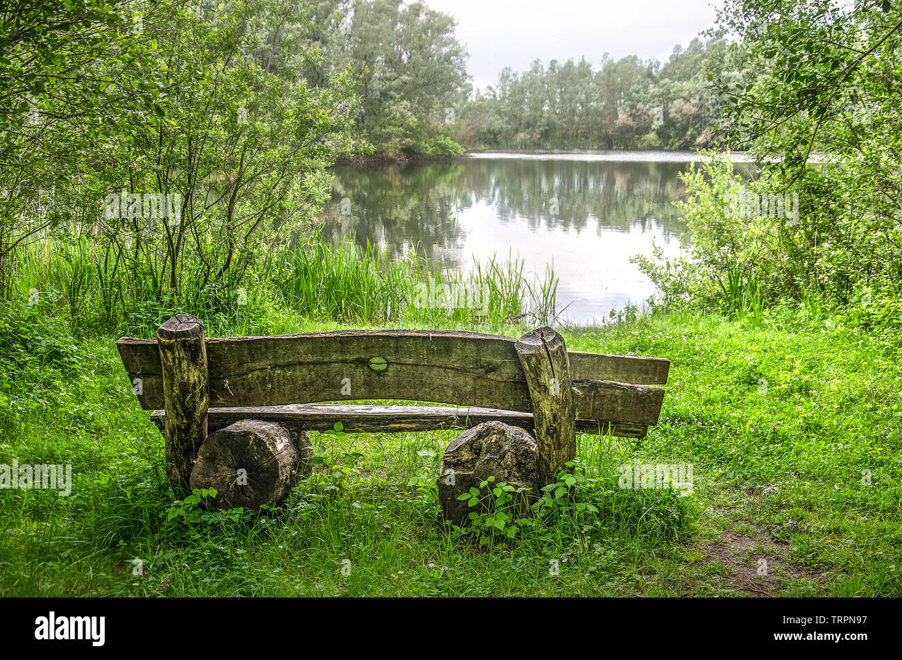 Rustic wooden bench at the shore of a little lake near Woudrichem, The Netherlands Stock Photo