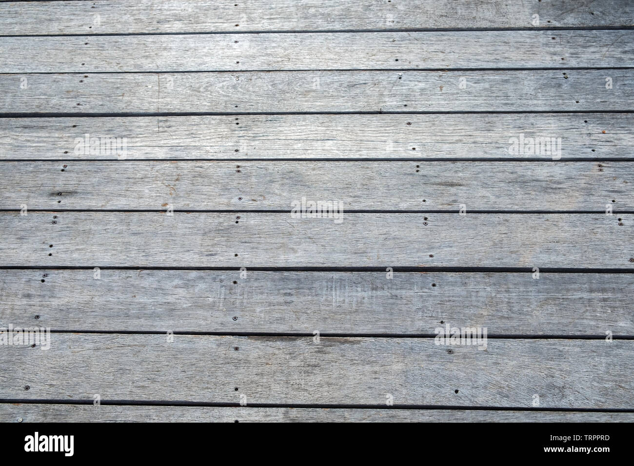 Plank wooden soft grey floor background Stock Photo - Alamy