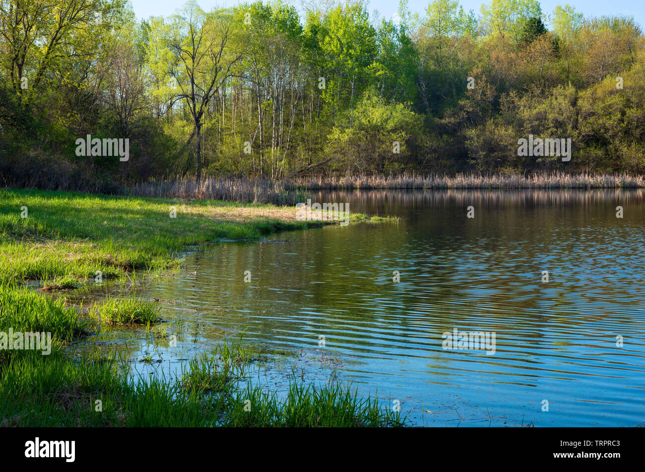 Inver grove hires stock photography and images Alamy