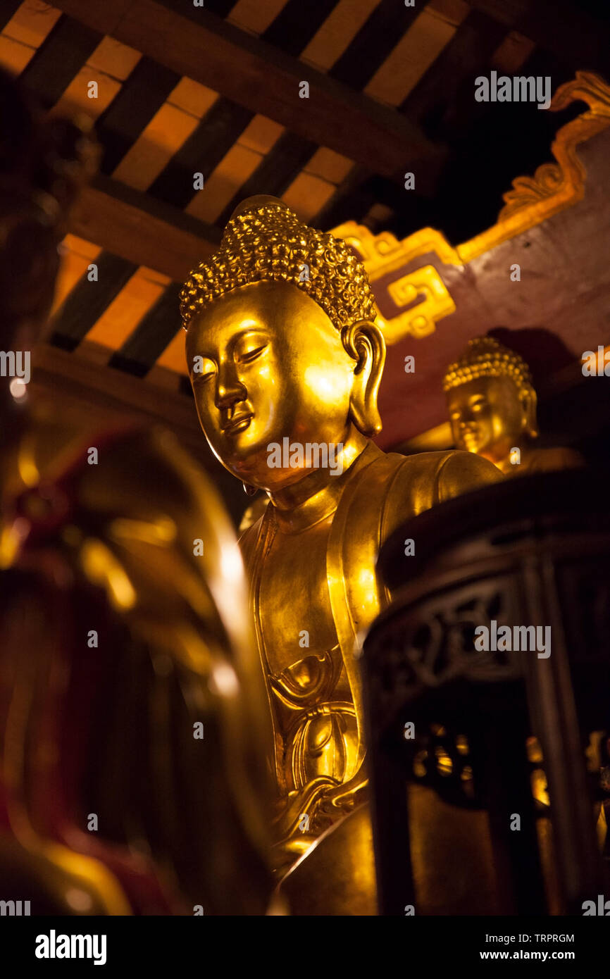 Golden Buddha Statue at the Tu Lien Pagoda in Ha Noi, Vietnam Stock Photo