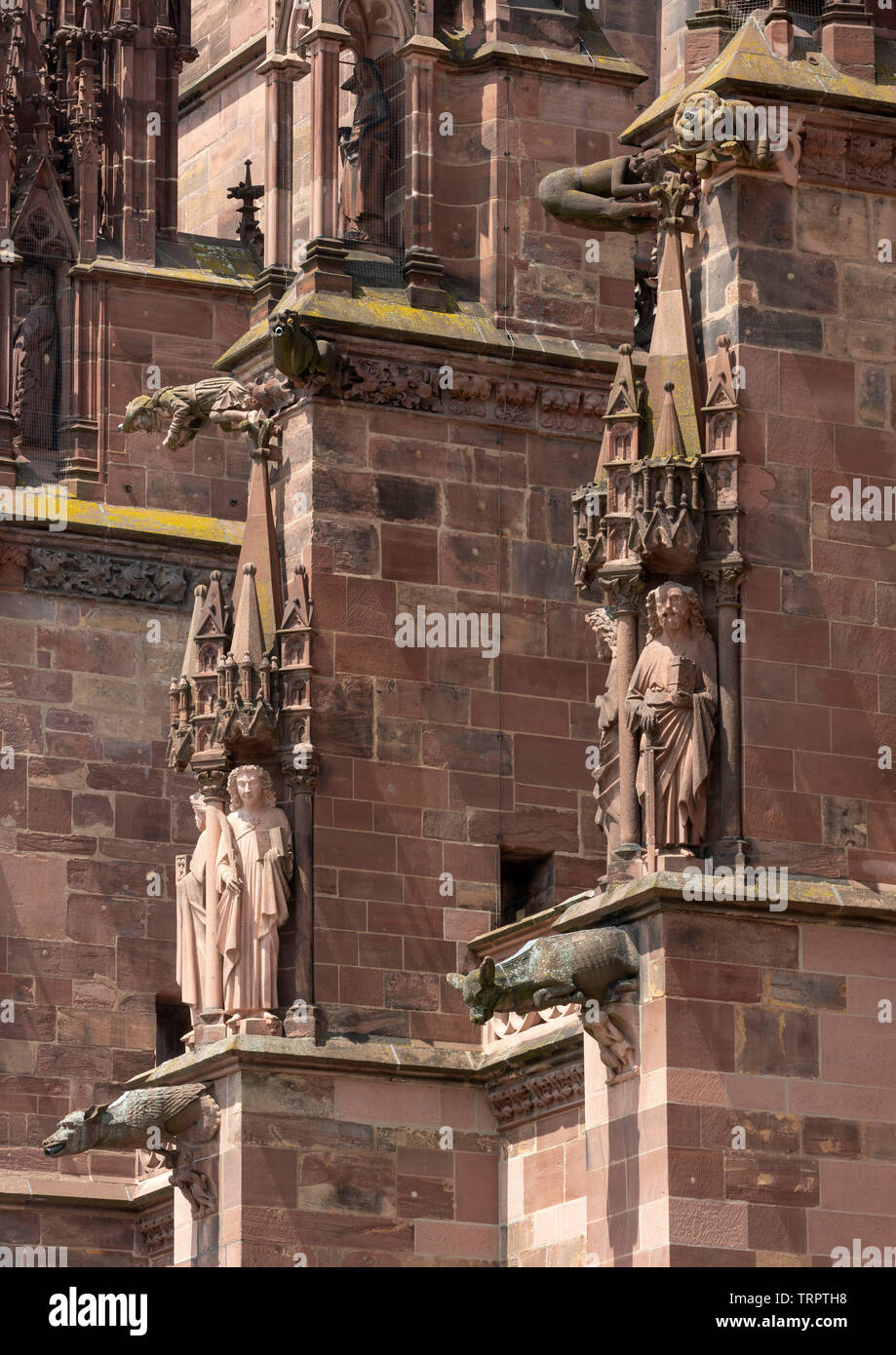 Freiburg im Breisgau, Münster Unserer Lieben Frau, Figuren und Wasserspeier an der Südseite Stock Photo