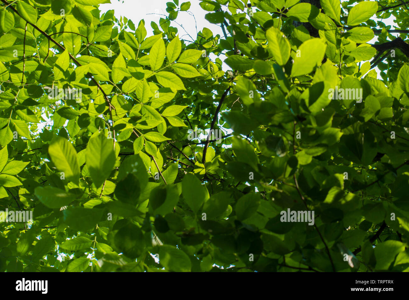 Landscapeviews hi-res stock photography and images - Alamy