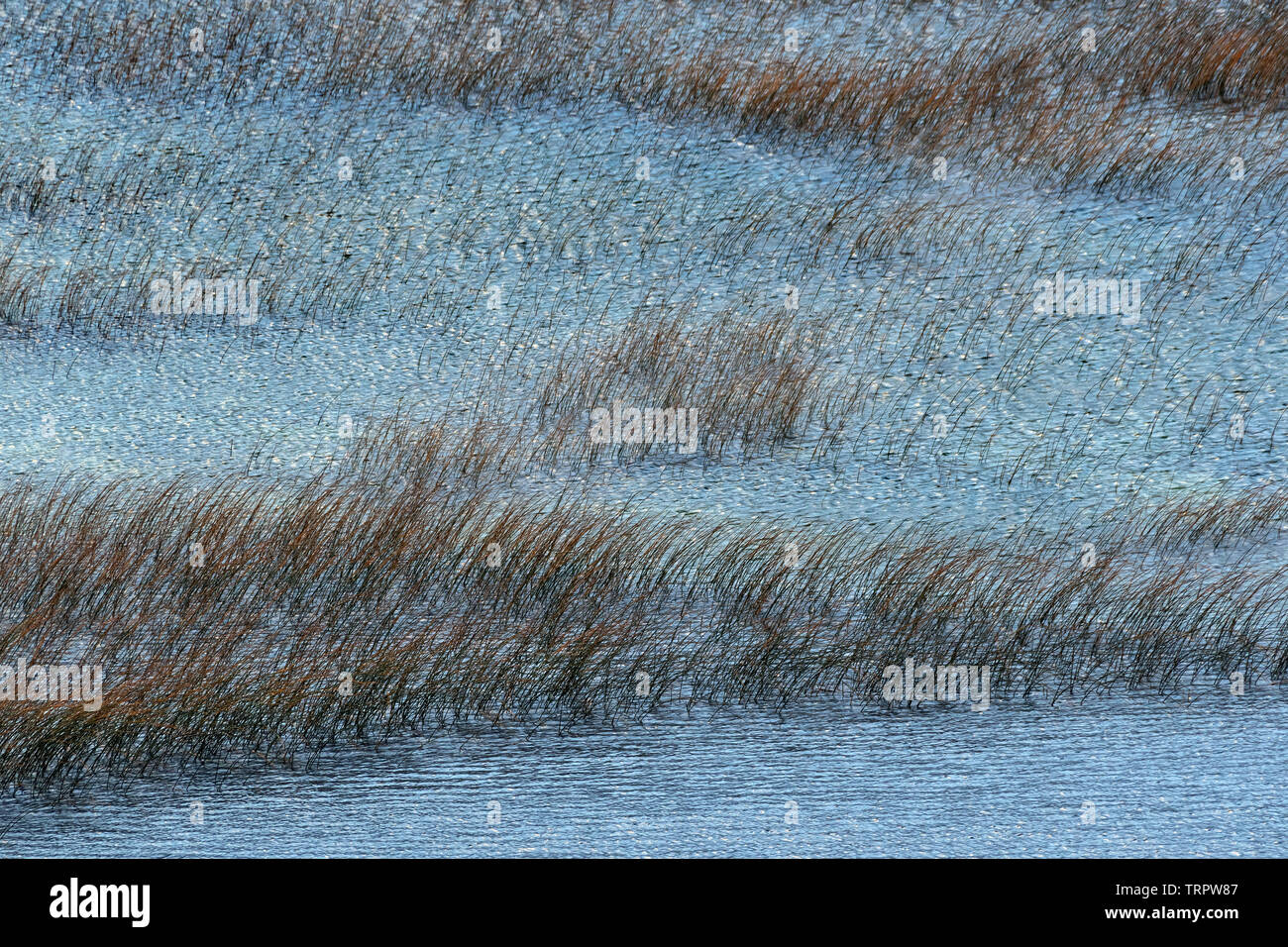water landscape, Torres del Paine NP, Chile Stock Photo