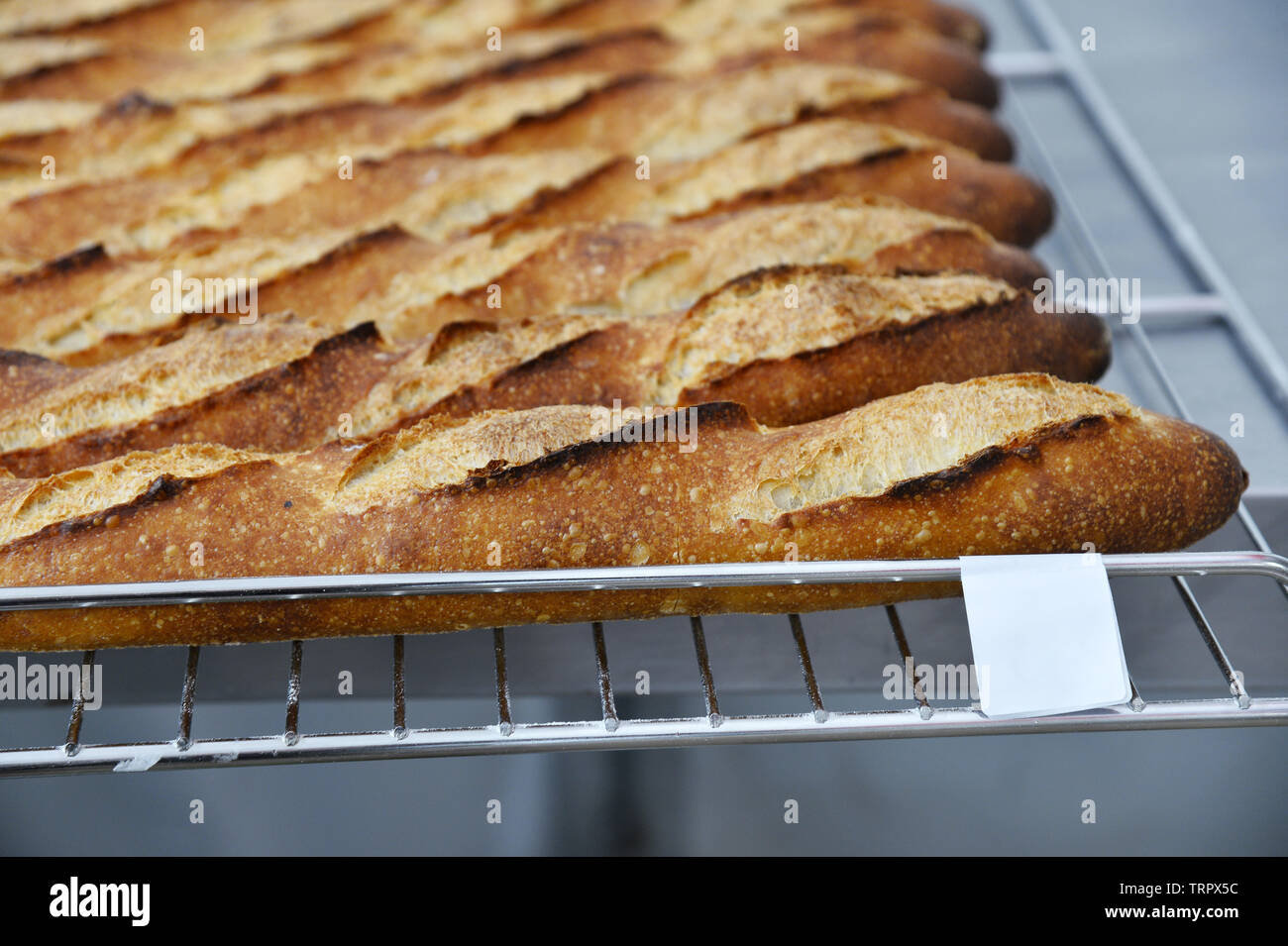 Best french tradition baguette contest Paris France Stock Photo Alamy