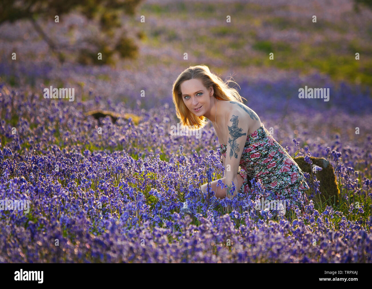 A blonde model in a field of bluebells Stock Photo