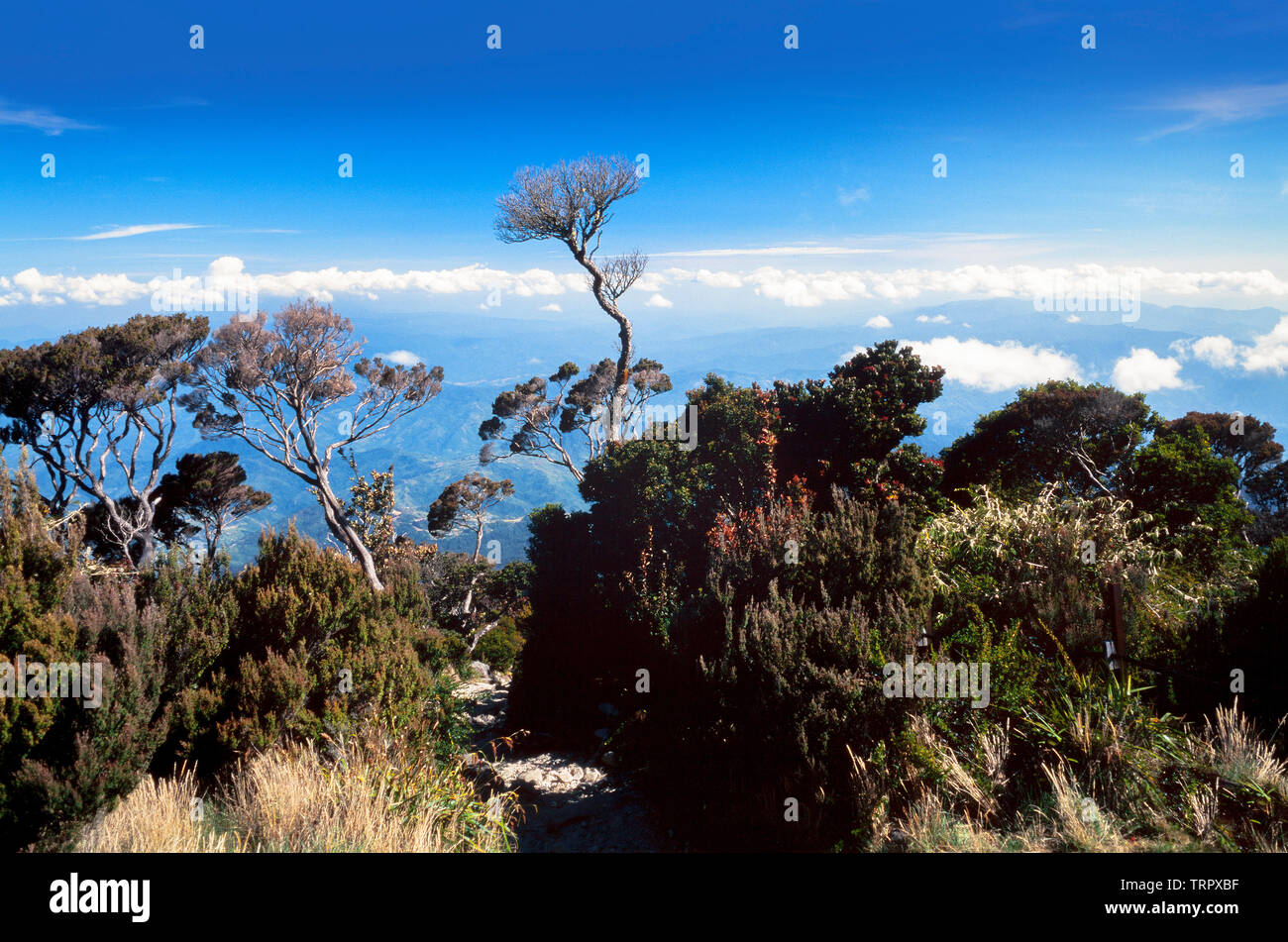 Mount Kinabalu National Park, Sabah, East Malaysia. Summit trail, view C.3200 metres Stock Photo