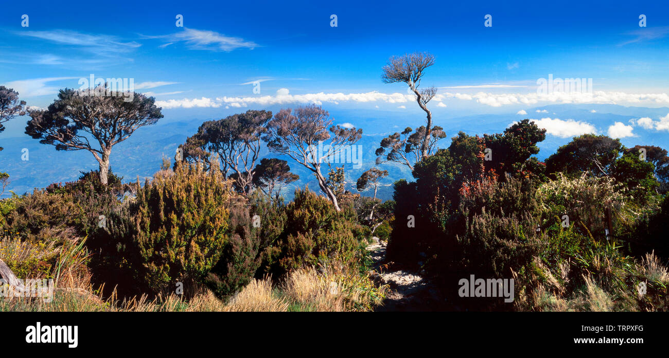 Mount Kinabalu National Park, Sabah, East Malaysia. Summit trail, view at 3200 metres Stock Photo