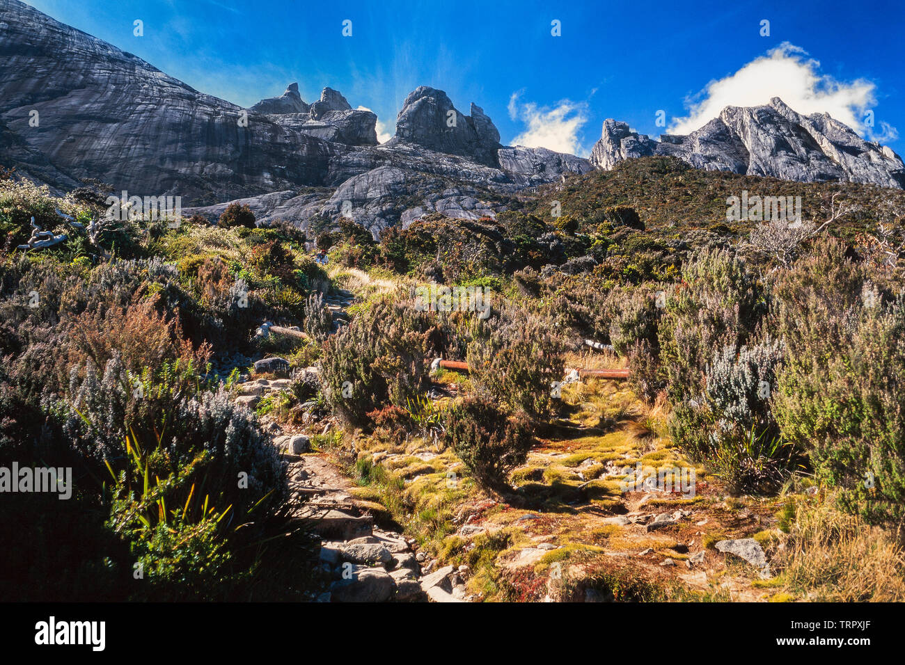Mount Kinabalu National Park, Sabah, East Malaysia. Summit trail, view of summit in background, trail steps in foreground Stock Photo