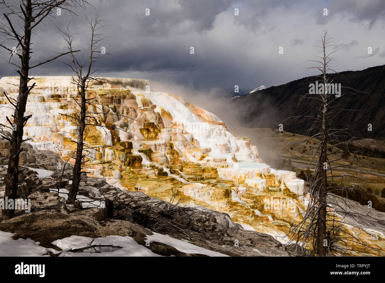 The Mammoth Hot Springs terrace formation near the headquarters of Yellowstone National Park in Wyoming, North America. Stock Photo