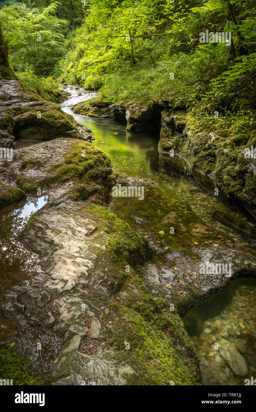 Lydford Gorge is the deepest river gorge in the South West of England. Running south west from the picturesque village of Lydford, the gorge is a one Stock Photo