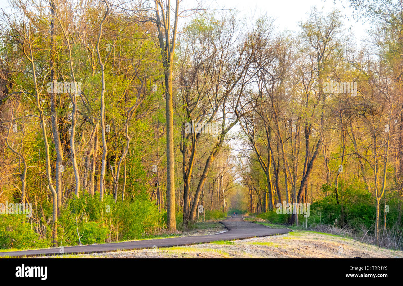 Bitumen rail trail bike path through the countryside Collinsvile Illinois USA. Stock Photo