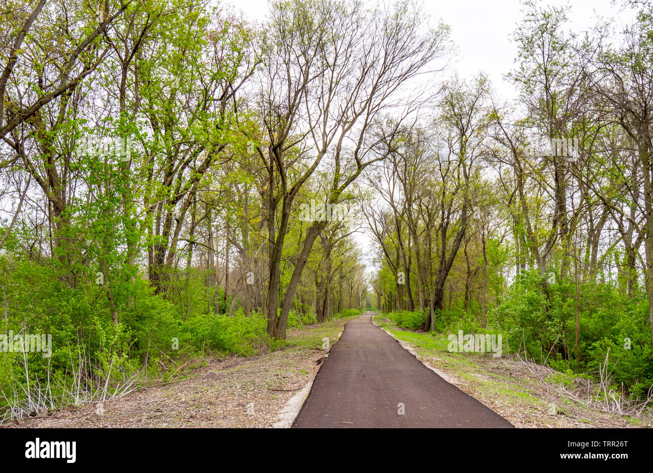 Rail trail, a new bike path running through rural Midwest Collinsville Illinois USA. Stock Photo