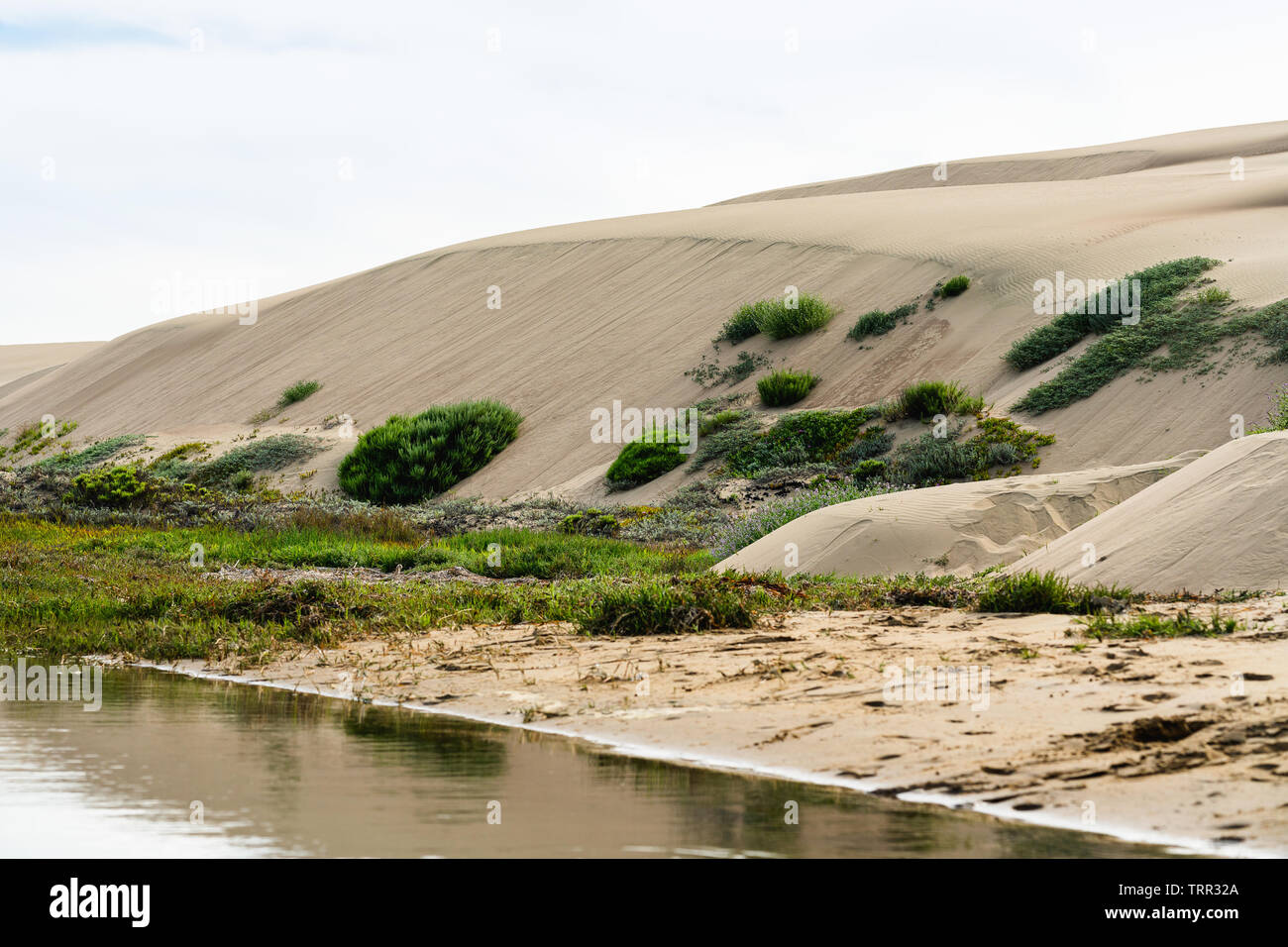 Morro Bay Dunes Natural Preserve, Los Osos, California Stock Photo