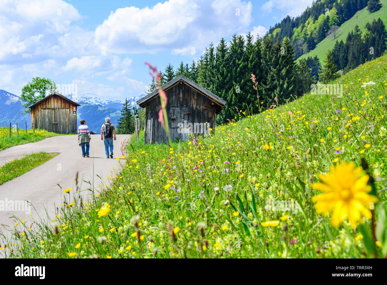 Relaxed walk in the springlike Allgäu mountains Stock Photo