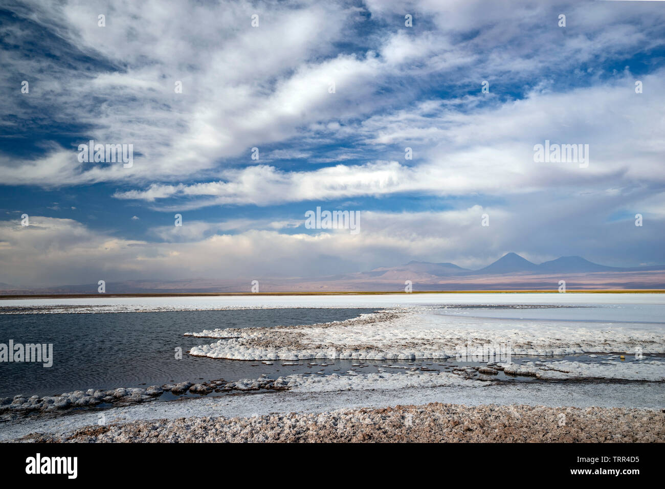 Laguna Tebinquinche, Salar de Atacama in Chile Stock Photo