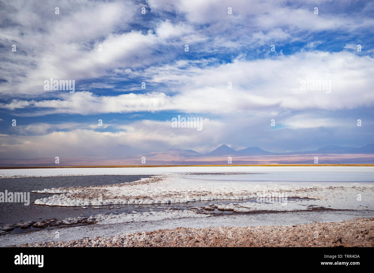 Laguna Tebinquinche, Salar de Atacama in Chile Stock Photo