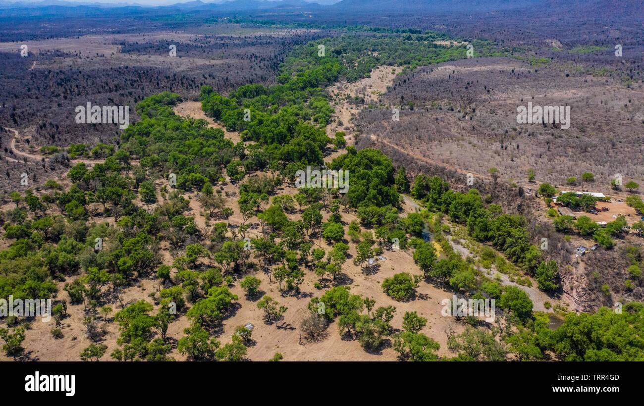 Aerial view of the trees and green areas around the town of Quiriego, Sonora.Vista Aérea de los arboles y  areas verde en los alrededores de pueblo de Quiriego, Sonora.  (Photo: LuisGiutierrez/NortePhoto) Stock Photo