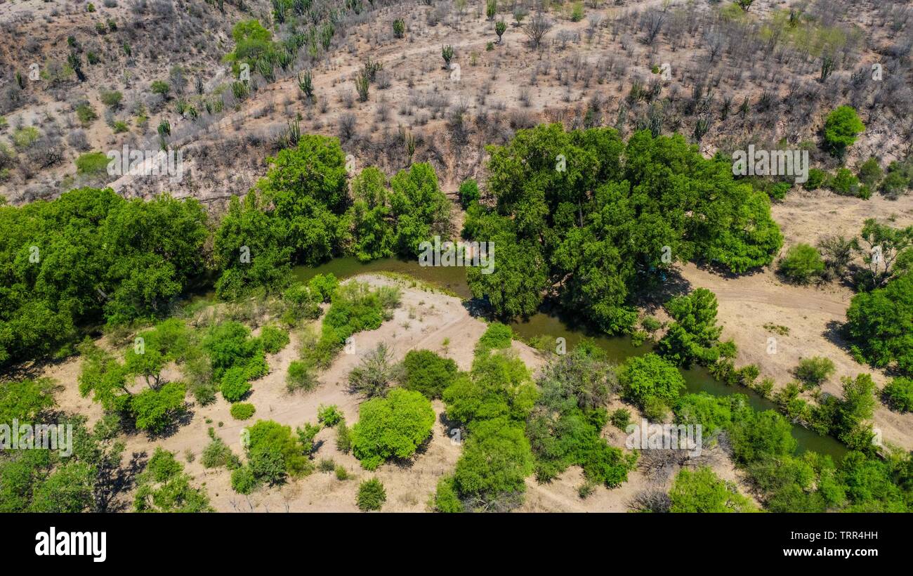 Aerial view of the trees, stream and green areas around the town of Quiriego, Sonora. Vista Aérea de los arboles, arroyo y  areas verde en los alrededores de pueblo de Quiriego, Sonora.   (Photo: LuisGiutierrez/NortePhoto) Stock Photo