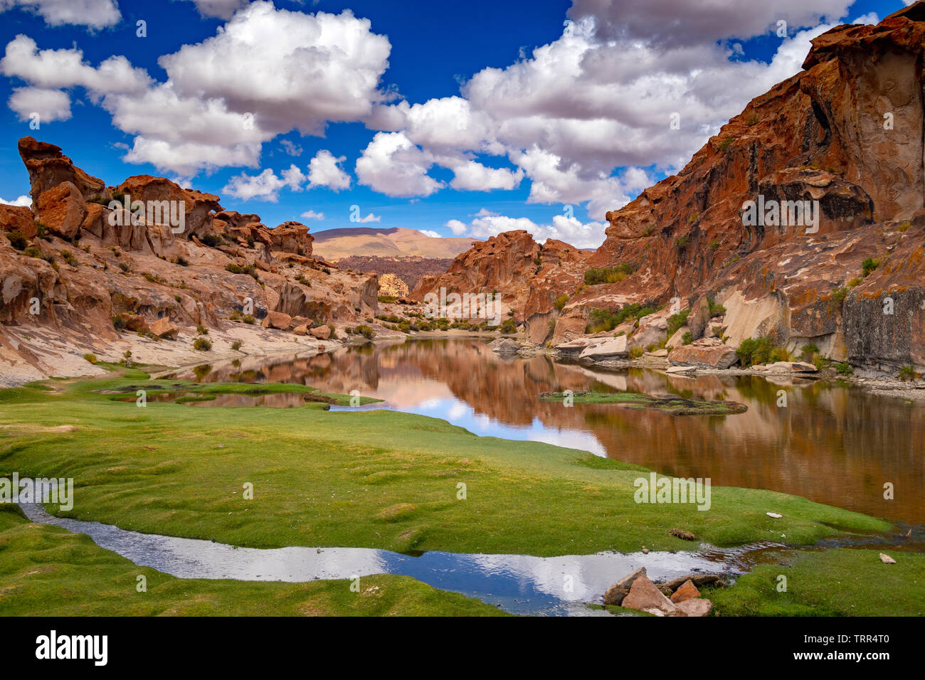 Monica intelligens Fortryd Lagoon Katal, a paradise place in south Bolivia Stock Photo - Alamy