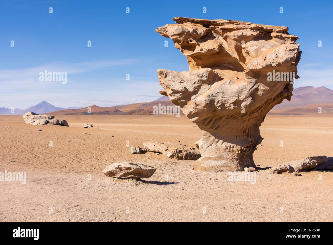 Arbol de piedra hi-res stock photography and images - Alamy