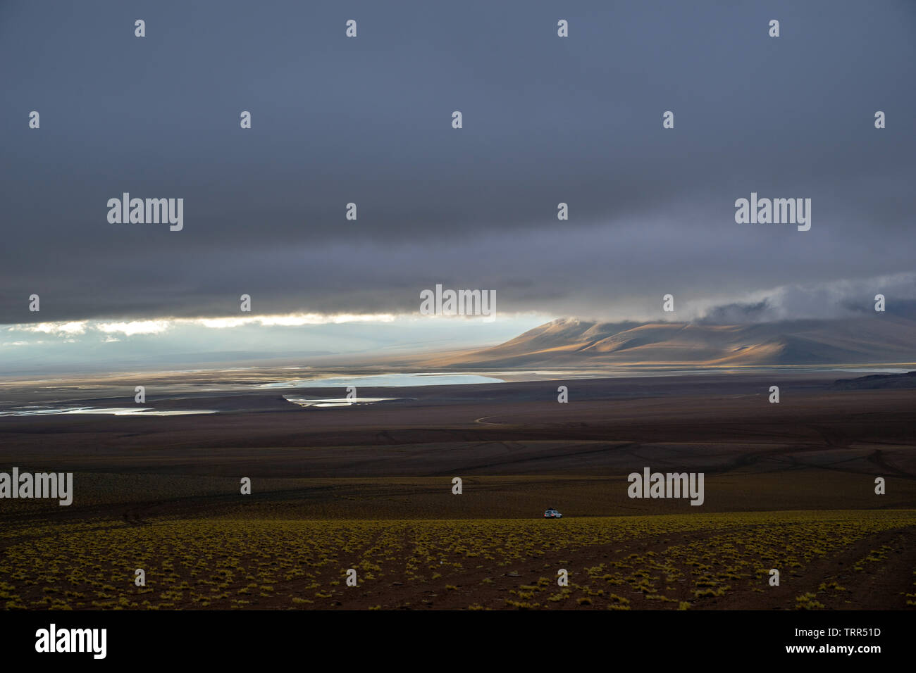 typical landscape at altiplano bolivia Stock Photo