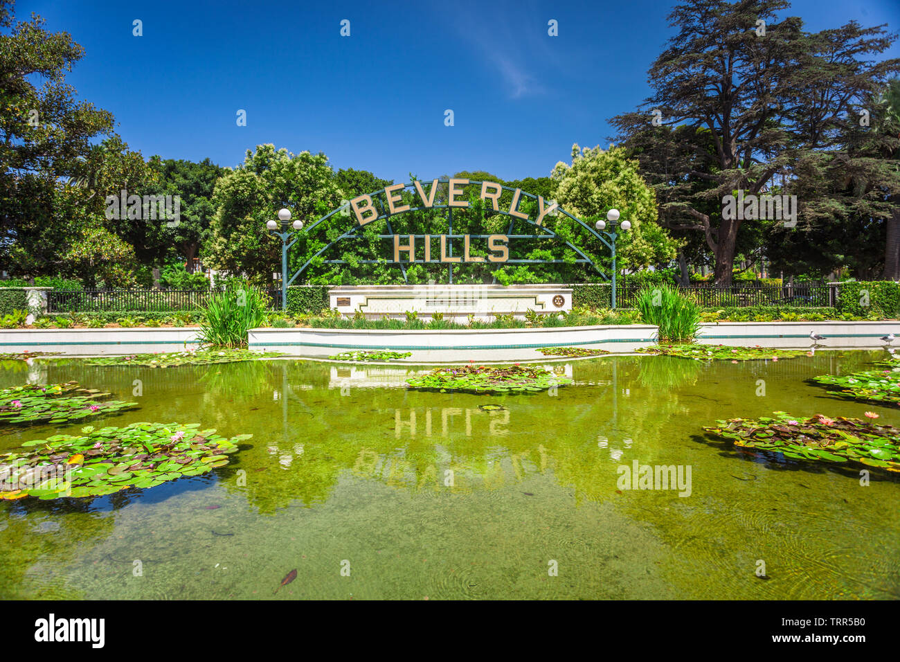 BEVERLY HILLS, CALIFORNIA - JULY 29, 2018 - Beverly hills sign near pond with lotus flowers in Los Angeles park along Santa Monica Blvd on July 29, 20 Stock Photo